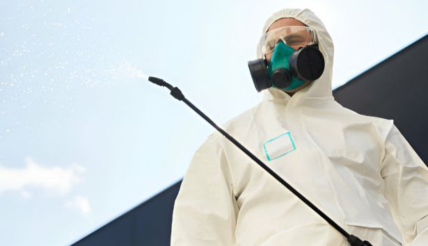 Pest Control Meadow Heights